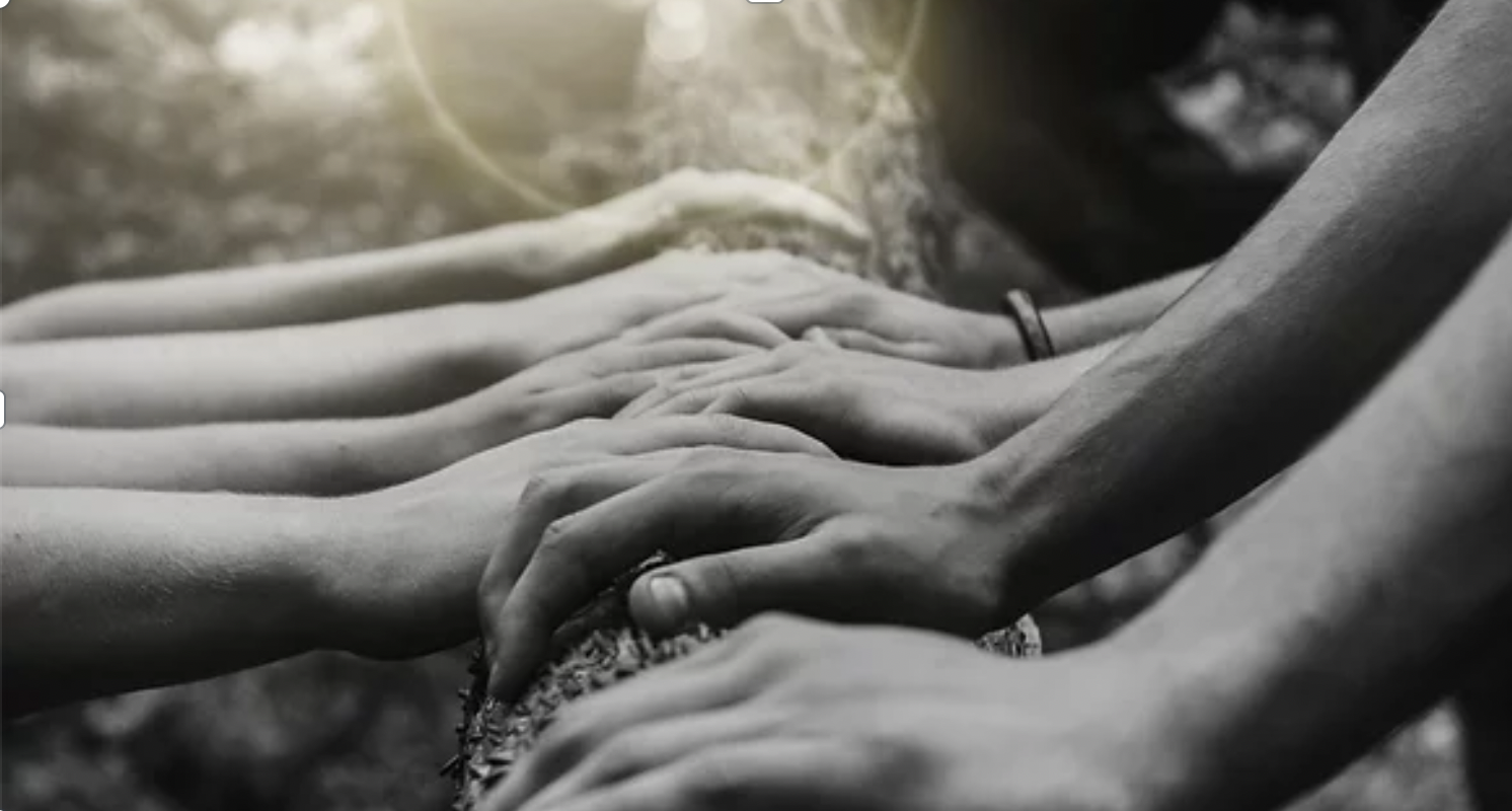 Eight hands overlaid on a tree trunk in black and white