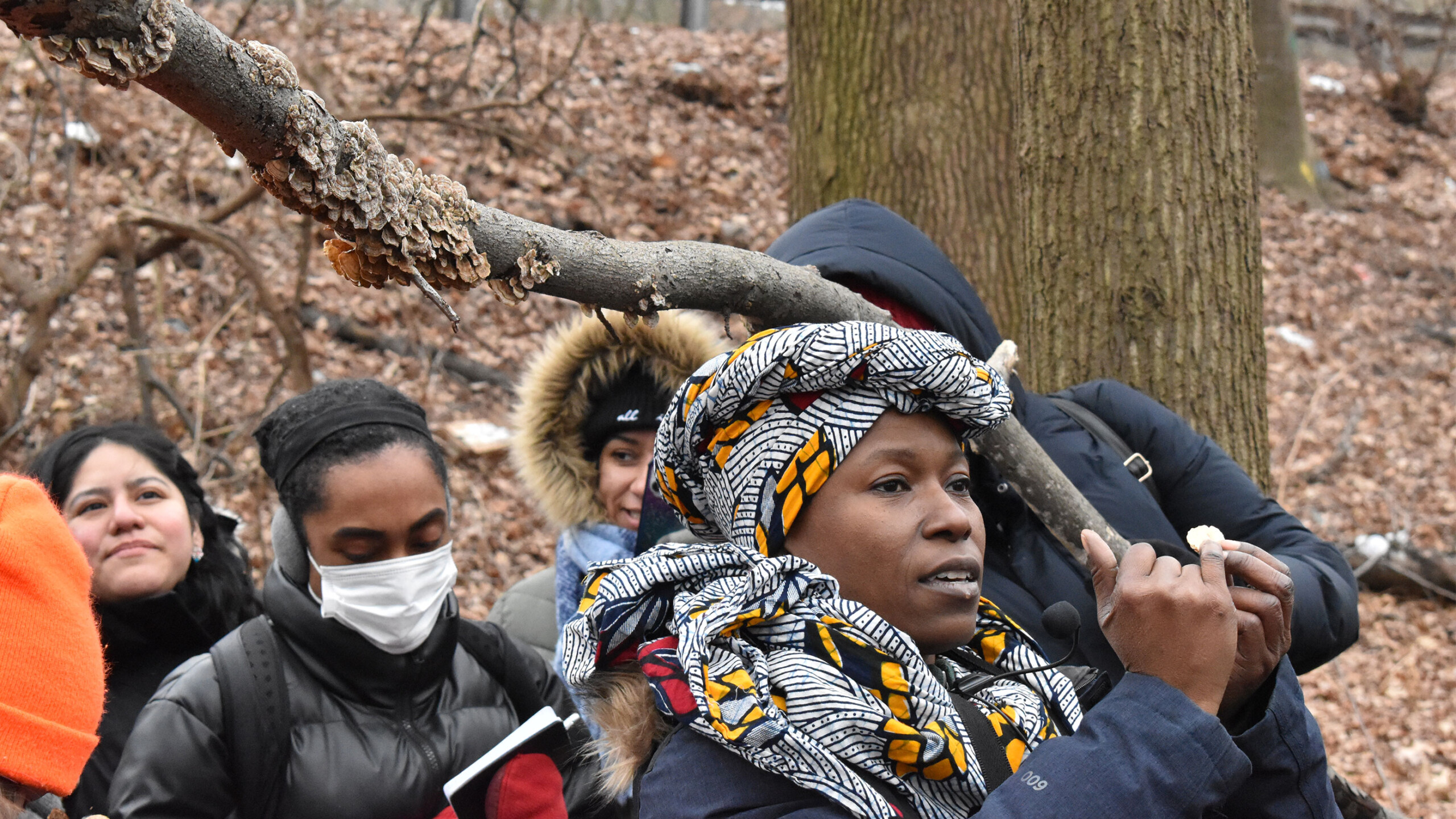 People in winter clothing seated in a forest setting with bare trees.