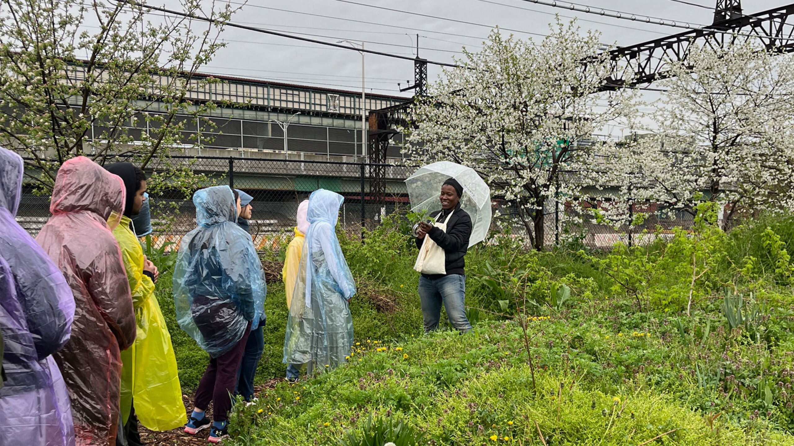 Group of people in colorful rain ponchos standing in a green field with blooming trees.