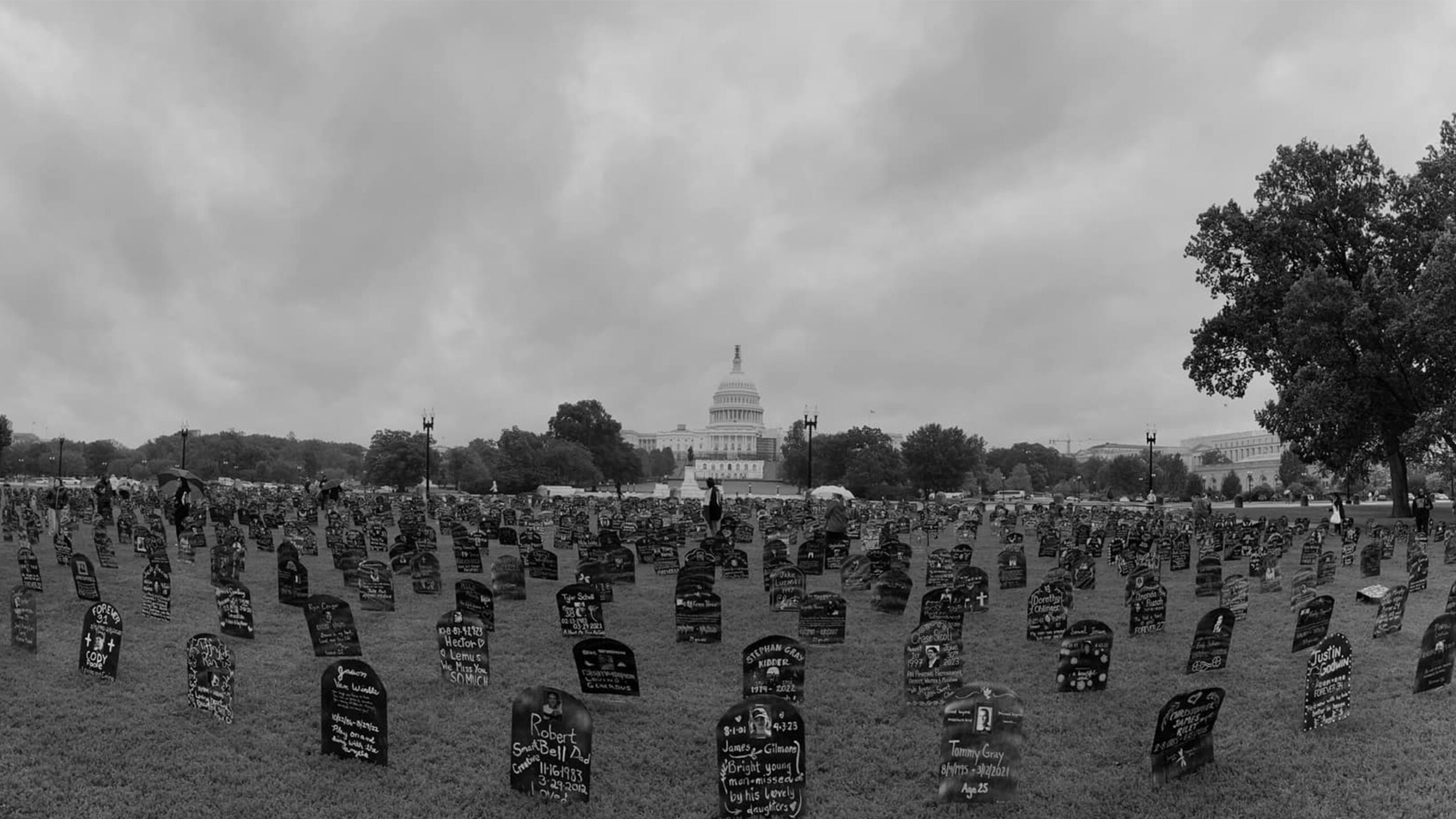 In front of the U.S. Capitol building, an array of black, tombstone-shaped signs spreads across a grassy expanse. Each sign, resembling gravestones, bears white...