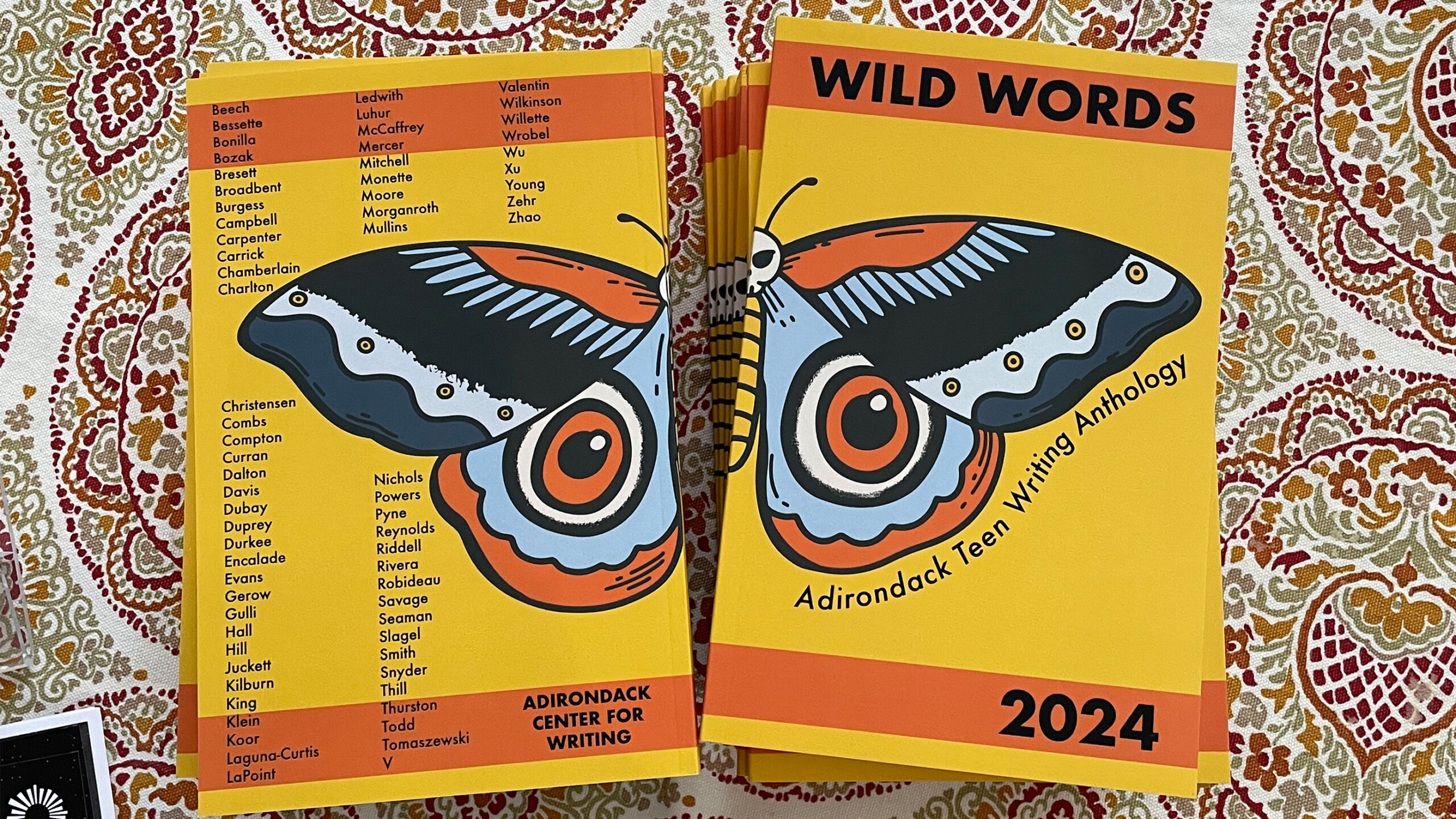 Two colorful books titled WILD WORDS Adirondack Teen Writing Anthology 2024 display a butterfly design.