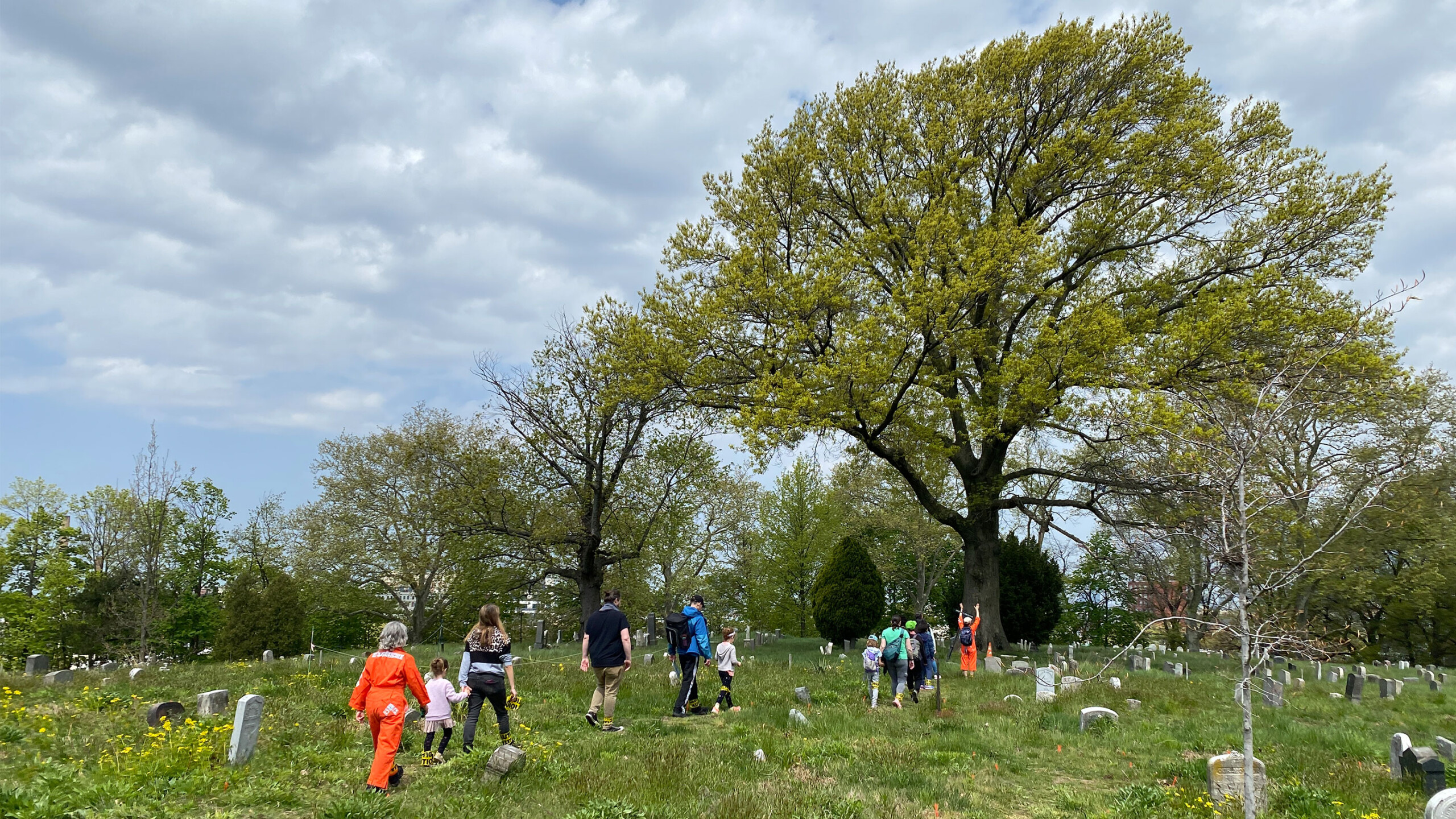 Group of people walking among tombstones in a cemetery with large trees and a cloudy sky.