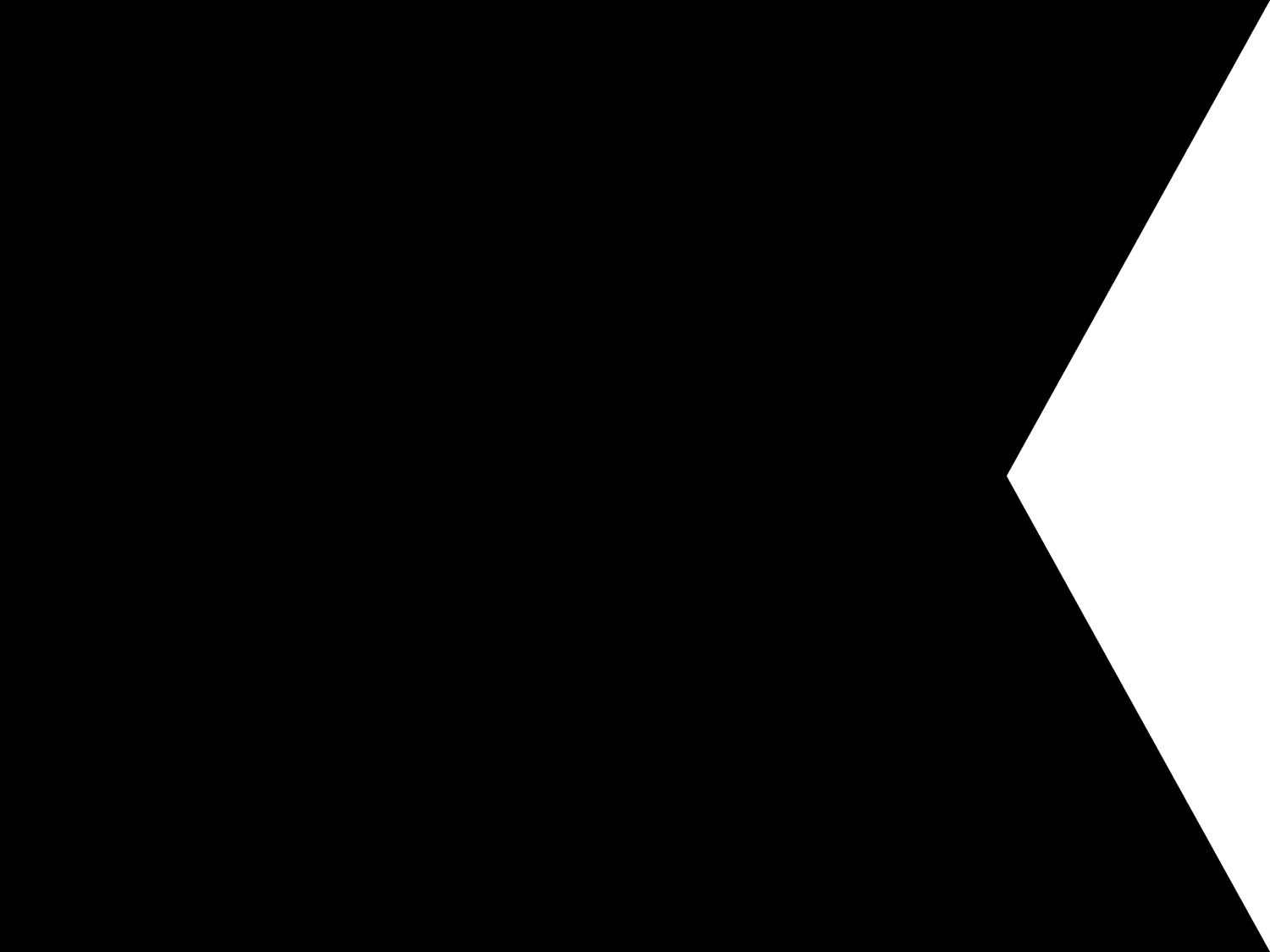 An image of the Tribeworks logo, which is a black geometric shape resembling a horizontal banner with a pointed cutout on the right side.